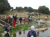 MIRANDA limpa Fresno