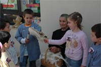 Artesãos vão à escola