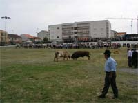 MACEDO organiza Dia do Agricultor