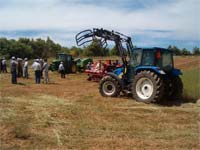 Agricultores perdem subsídios