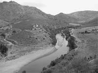 Autarcas queixam-se a Durão Barroso