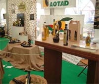 MIRANDELA internacionaliza azeite e oliveira