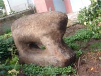 Berrão descoberto em Picote