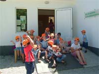 À descoberta da natureza