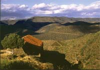 Politécnico investiga montanha