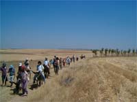 Gaiteiros passeiam de burro