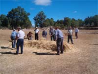 PALAÇOULO sega à moda antiga