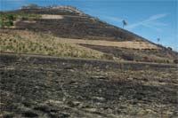 Fogo destrói agricultura de Outeiro