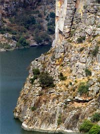 PICOTE requalifica património