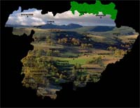 Ricardo Magalhães defende Regionalização