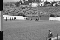 Mirandela com dinâmica de vitória