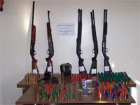 Armas apreendidas em Mogadouro