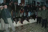 Montaria bate recorde