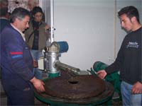 Azeite biológico gera maior rendimento