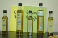 Câmara de Mirandela produz azeite