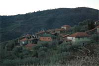 PALAS à beira o fim