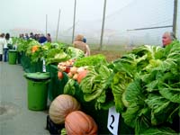 CARVALHAIS quer certificar couve penca