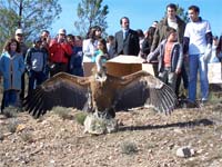 GRIFOS devolvidos à natureza