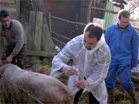 Agricultura dividida em cinco regiões