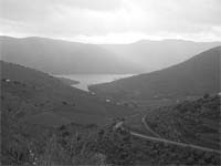 FREIXO apresenta barragem