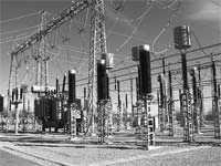 MOGADOURO aposta na biomassa