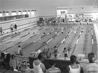 Hidroginástica e natação: modalidades em ascensão