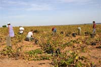 “Parques com Vida” reunidos em Montalegre
