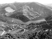 Miradouros de Carrazeda recuperados