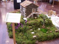 Tradições agrícolas em Mogadouro