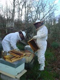 Apicultores espanhóis invadem Planalto