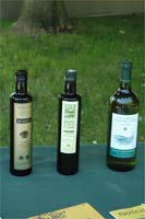 Qualidade do azeite sob controlo