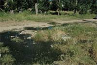 Esgotos a céu aberto em Gimonde