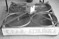 Crianças sensíveis à Ecologia