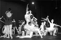 Mogadouro recebe Gala de Bailado