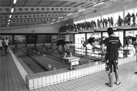 Escolas de natação em competição