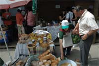 ERVEDOSA aposta nos produtos da terra