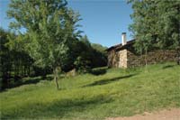 Moinhos produzem energia