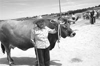 Pecuária no feminino