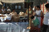 Cebolas reinam em S.Pedro