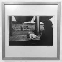 Douro “invade” Bragança