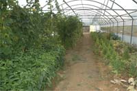 Formação em agricultura biológica