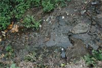 Maus cheiros às portas do Real Filatório