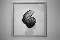 Onde está a Realidade