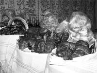 MOGADOURO à margem das Cozinhas de Fumeiro