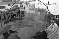 Assador gigante surpreende visitantes