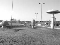 Mogadouro quer ser Capital do Cogumelo