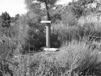 Zona de Caça repovoada com perdiz