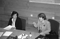 Professor, funcionário e intelectual