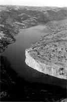 Freixo “com Vida”