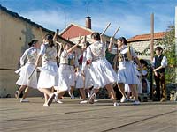 Pauliteiras alastram no Planalto